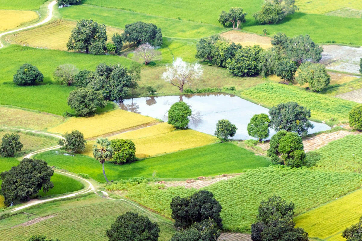 Yapay Tarımsal Göletlerde Geomembran Kullanımı